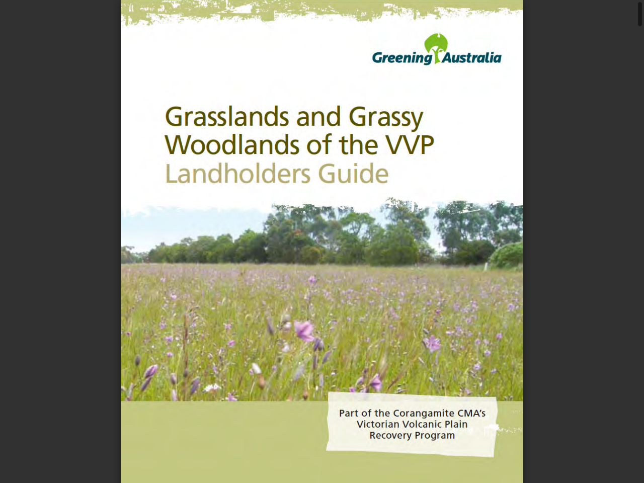 Preview of Grasslands and Grassy Woodlands of the VVP: Landholders Guide - Greening Australia, accessed August 11, 2025,