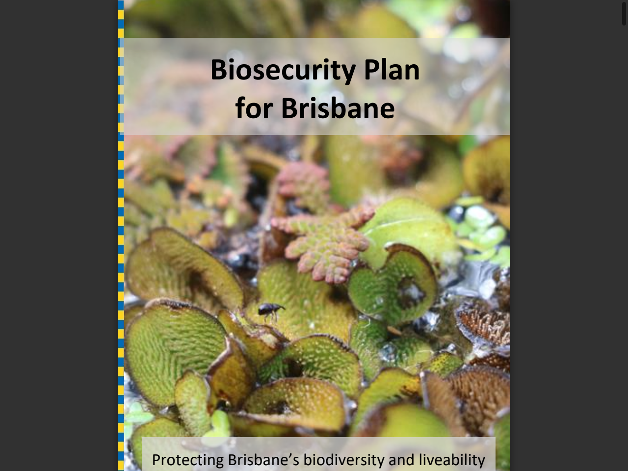 Preview of Biosecurity Plan for Brisbane 2022 - Brisbane City Council, accessed July 21, 2025