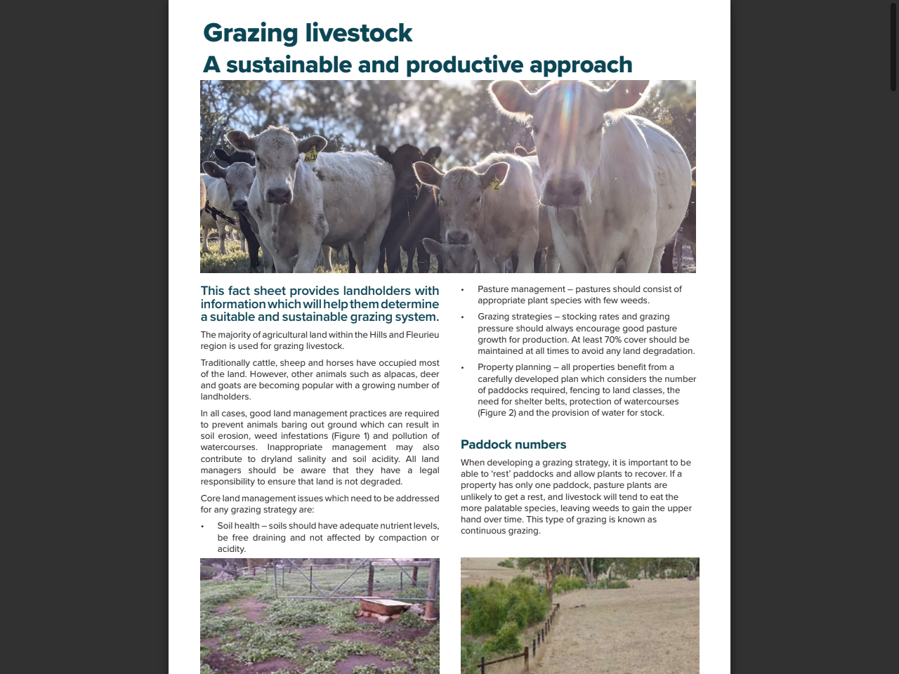 Preview of Grazing strategies | .Meat & Livestock Australia - MLA, accessed July 25, 2025,