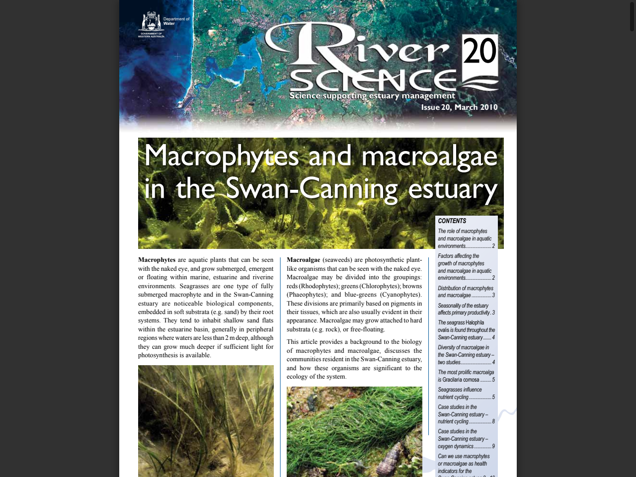 Preview of Macrophytes and macroalgae in the Swan-Canning estuary, accessed July 21, 2025, 