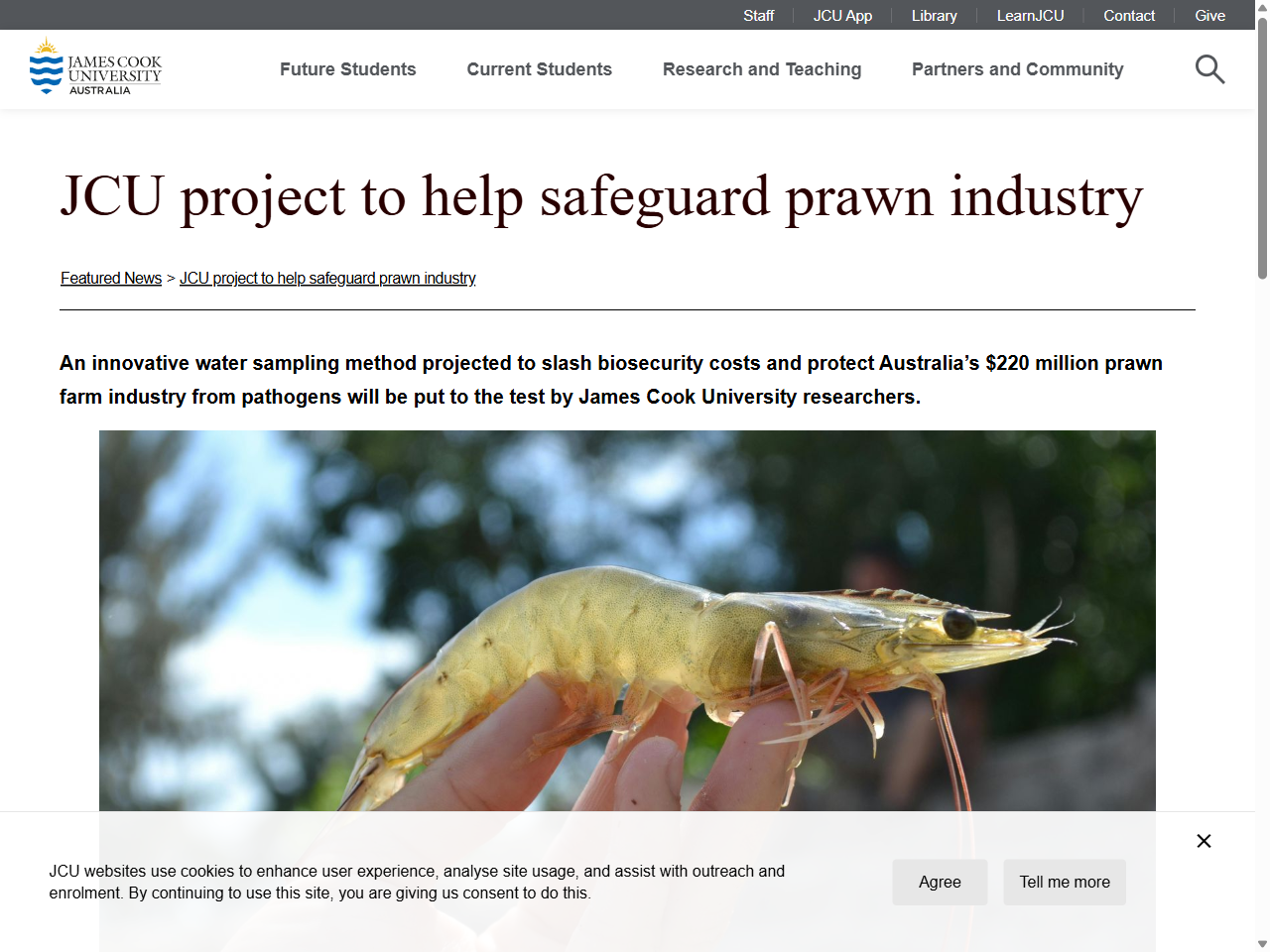 Preview of JCU Project To Help Safeguard Prawn Industry - Mirage News, accessed July 21, 2025,