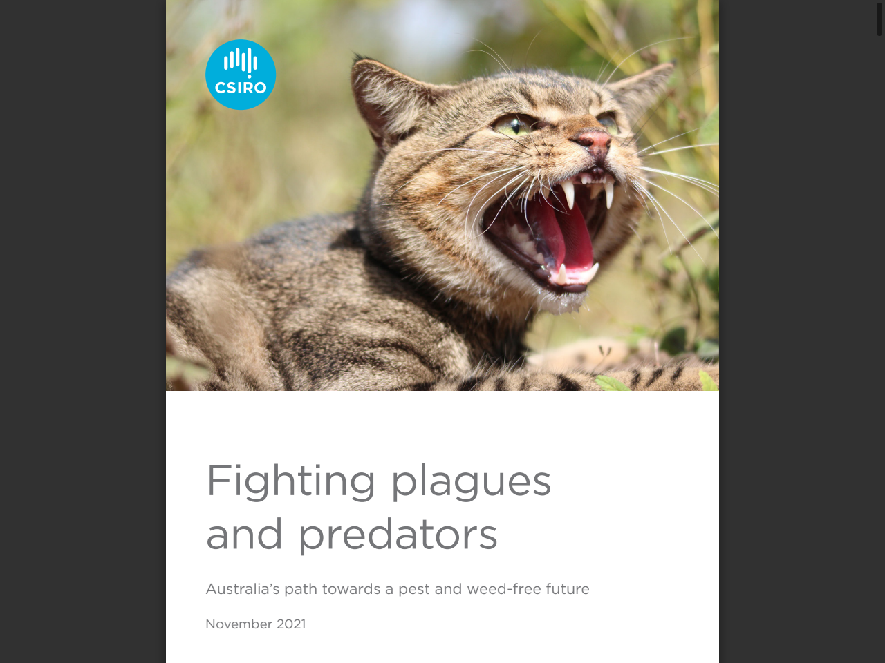 Preview of Invasive pasture grasses in northern Australia - gamba grass, para ..., accessed July 23, 2025