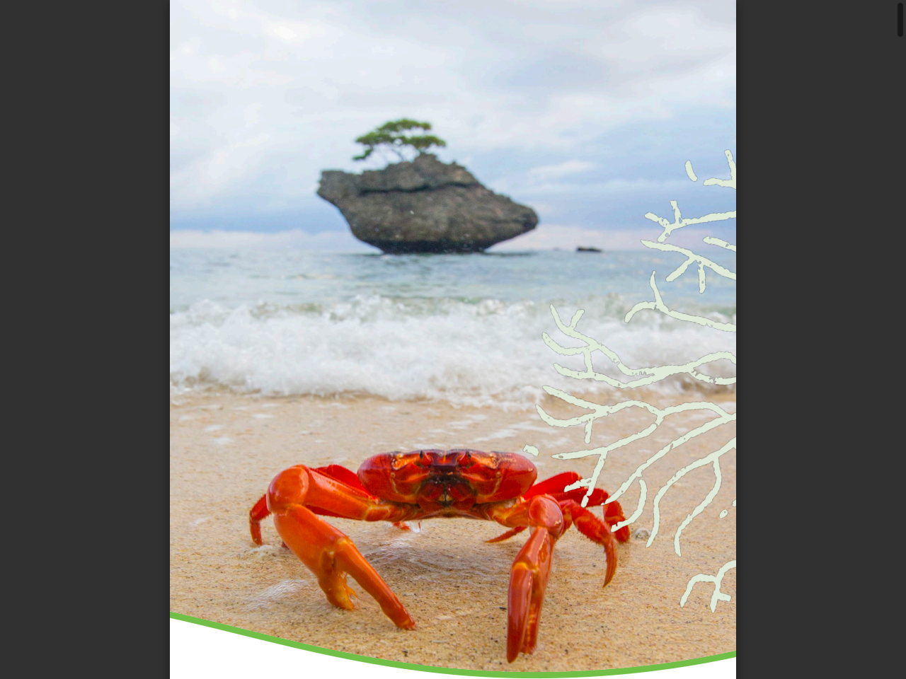 Preview of Christmas Island Marine Park Management Plan - 2025 - Australian ..., accessed August 2, 2025,