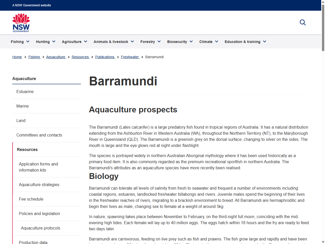 Preview of Barramundi - NSW Department of Primary Industries, accessed July 25, 2025,