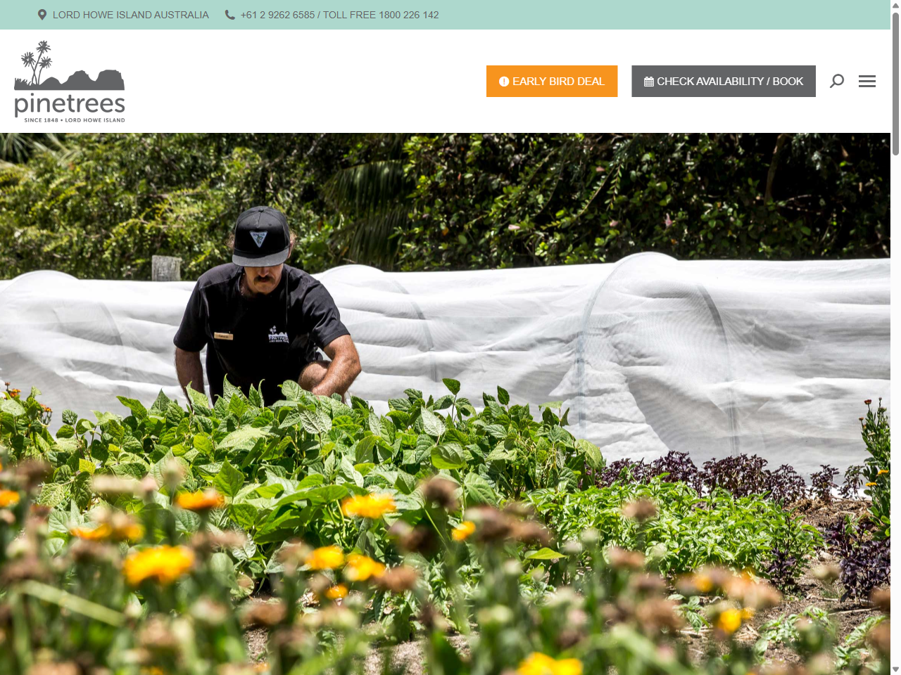 Preview of Sustainability | Pinetrees Lodge | Lord Howe Island, accessed July 30, 2025