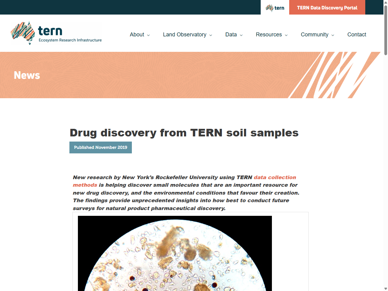 Preview of Drug discovery from TERN soil samples | TERN Australia