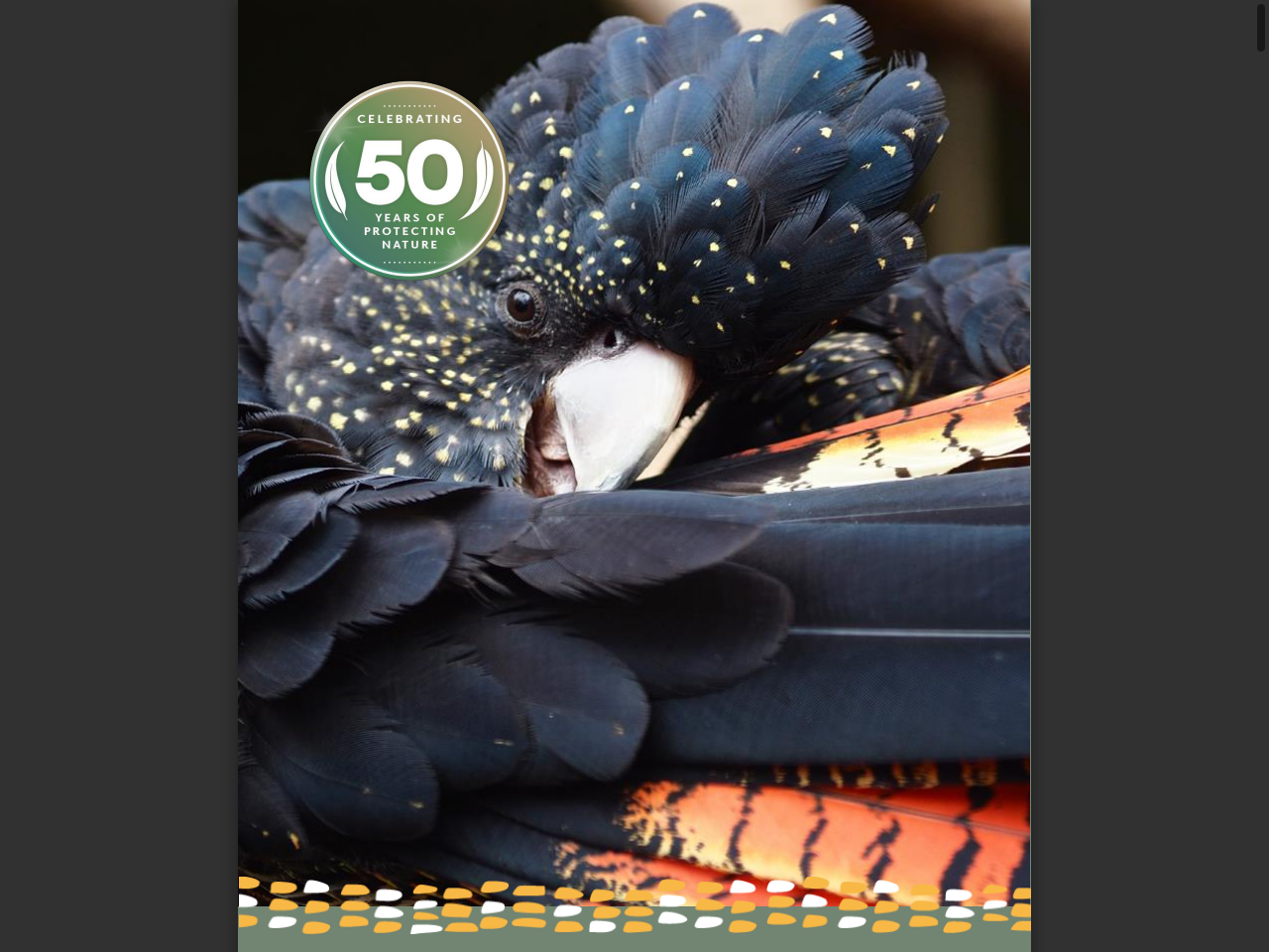 Preview of ENVIRONMENTAL ACCOUNT FIVE RIVERS RESERVE, accessed May 11, 2026,