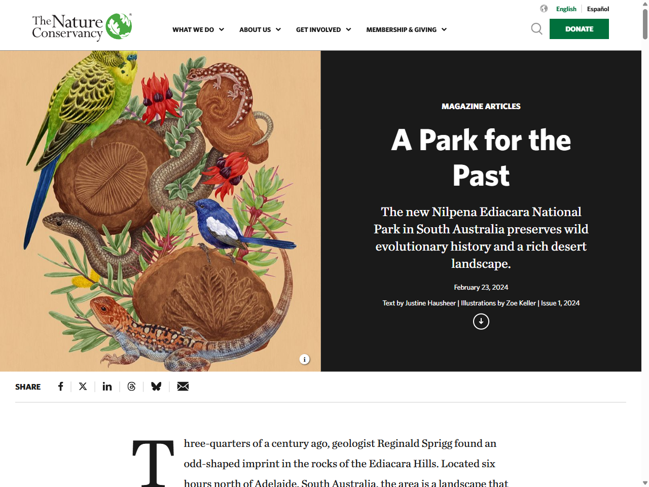 Preview of Ikara-Flinders Ranges National Park