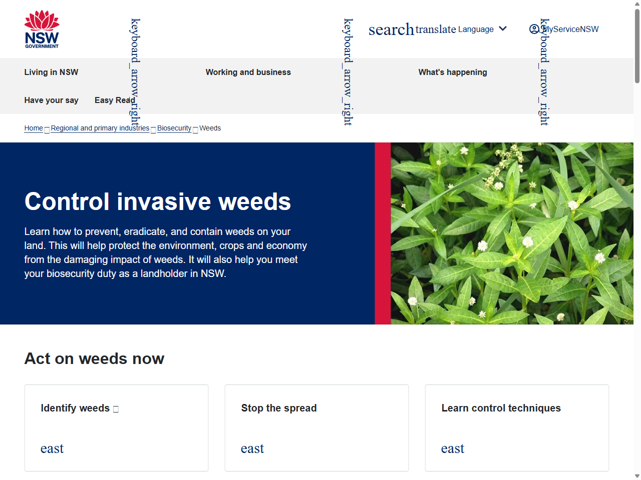 Preview of Regional Local Weed Management Plan Serrated tussock - Nassella trichotoma, accessed August 6, 2025, 