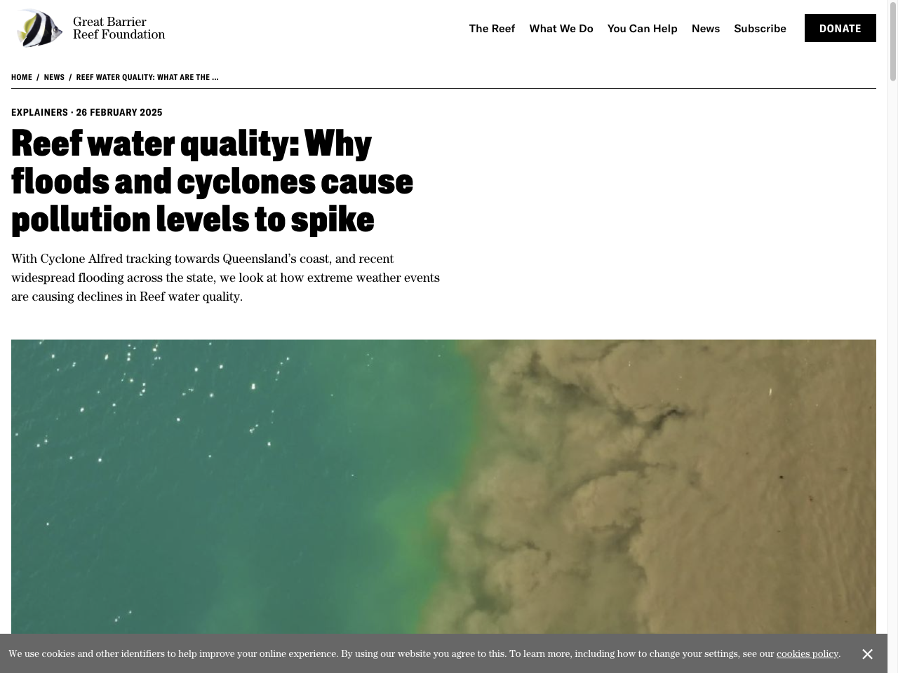 Preview of Reef water quality: Why floods and cyclones cause pollution levels to spike, accessed August 1, 2025