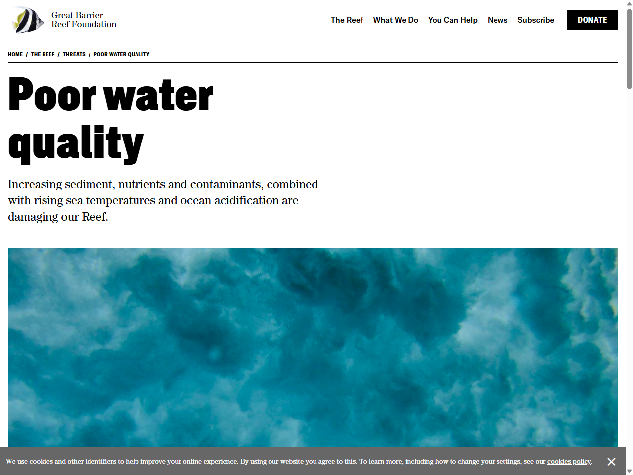 Preview of Poor Water Quality - Great Barrier Reef Foundation, accessed August 4, 2025,