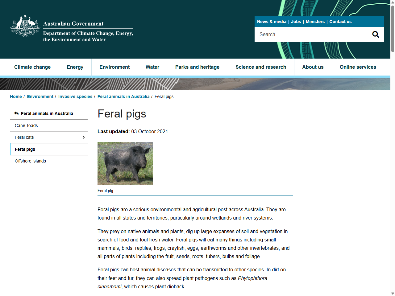 Preview of Feral pigs - DCCEEW