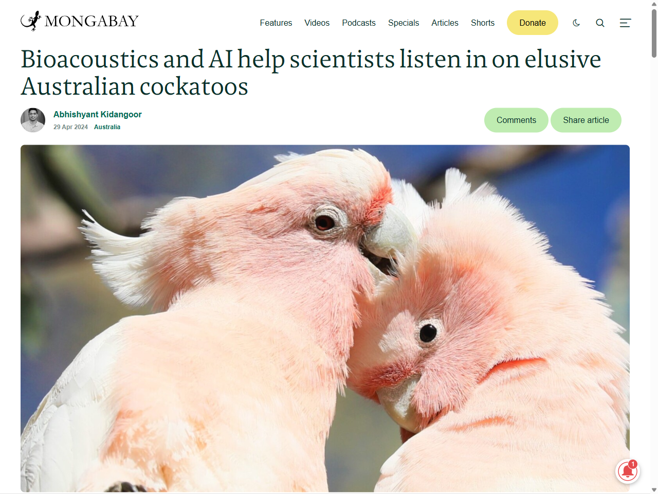 Preview of Bioacoustics and AI help scientists listen in on elusive Australian cockatoos, accessed July 22, 2025,