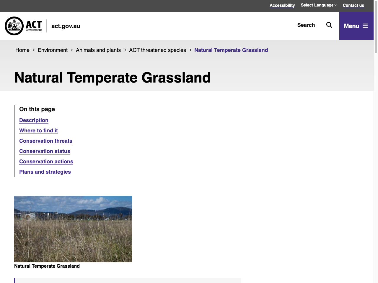 Preview of Natural Temperate Grassland - ACT Government, accessed August 5, 2025, 