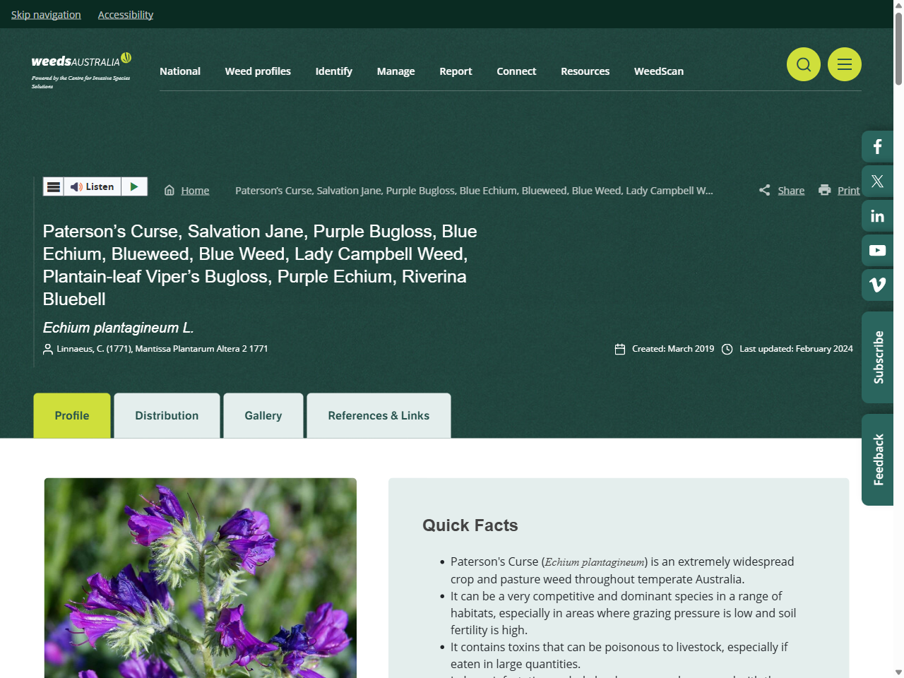 Preview of Paterson's Curse, Salvation Jane, Purple Bugloss, Blue Echium, Blueweed, Blue Weed, Lady Campbell Weed, Plantain-leaf Viper's Bugloss, Purple Echium, Riverina Bluebell - Weeds Australia, accessed July 7, 2025
