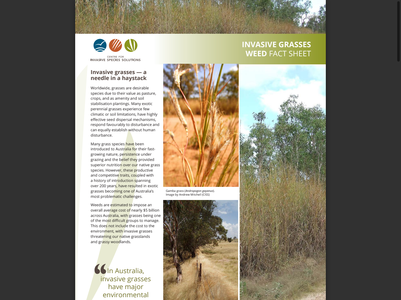 Preview of invasives.com.au