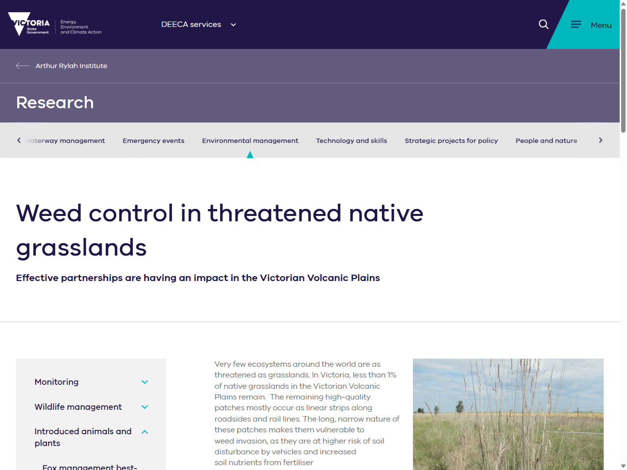 Preview of Weed control in threatened native grasslands - Arthur Rylah Institute for Environmental Research, accessed August 10, 2025