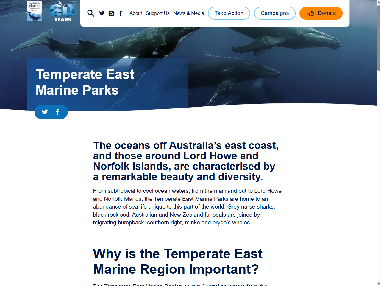 Preview of Temperate East Marine Parks - Australian Marine Conservation Society, accessed July 25, 2025, 