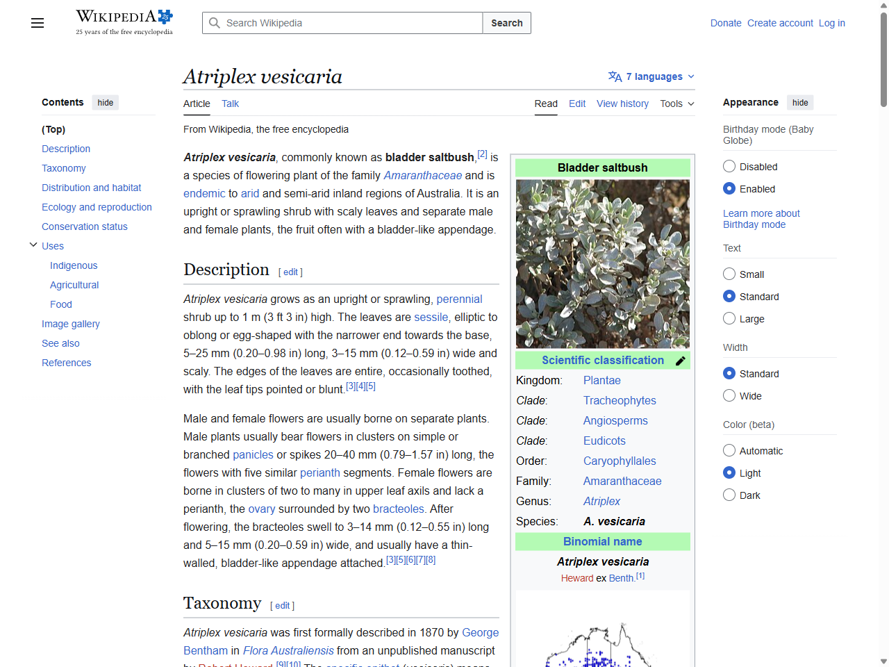 Preview of Atriplex vesicaria - Wikipedia, accessed July 25, 2025,