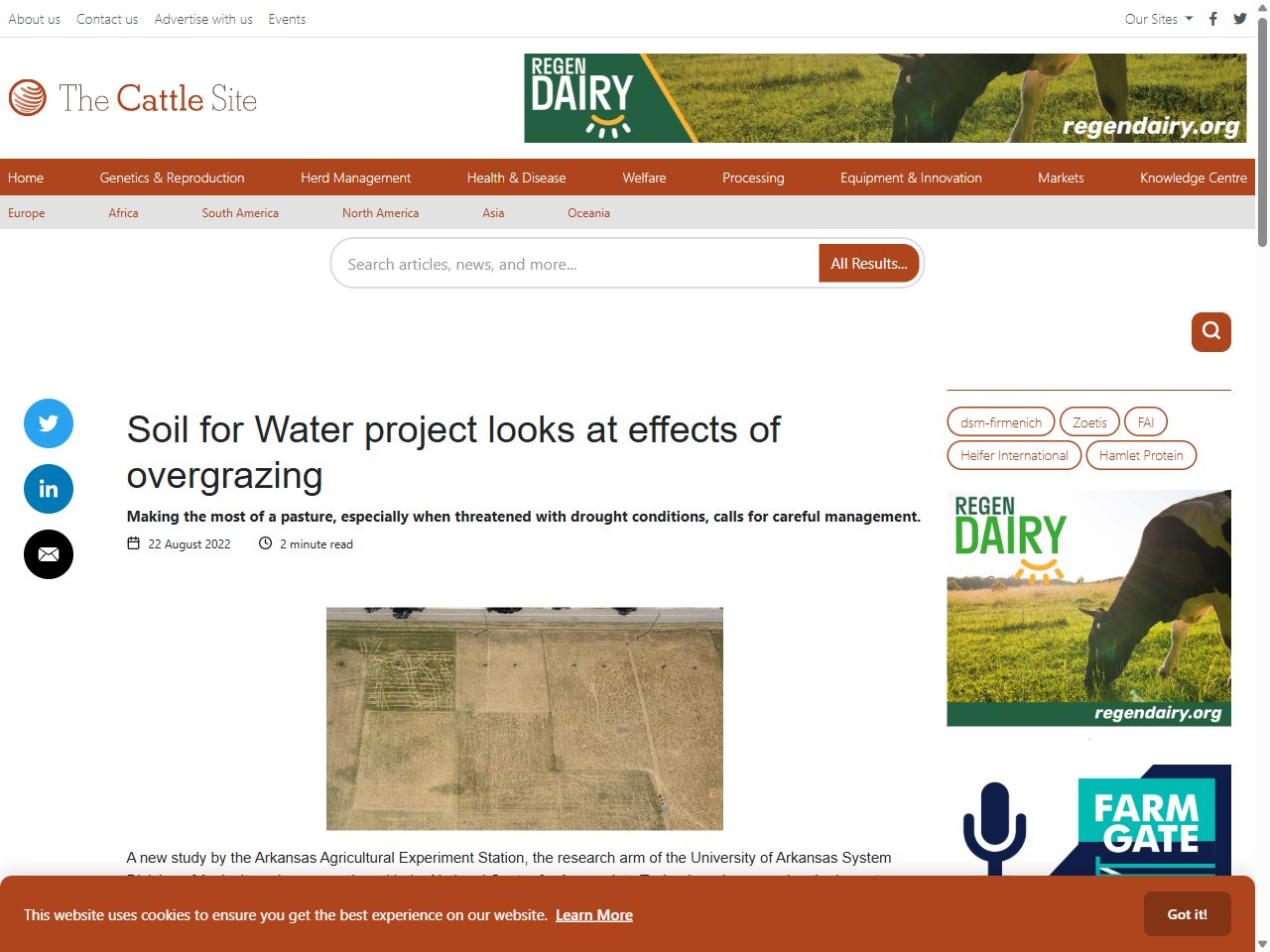 Preview of Requirements for graziers | Environment, land and water | Queensland Government, accessed July 30, 2025,