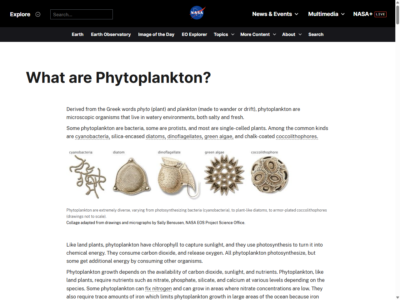 Preview of What are Phytoplankton? - NASA Earth Observatory, accessed August 2, 2025,