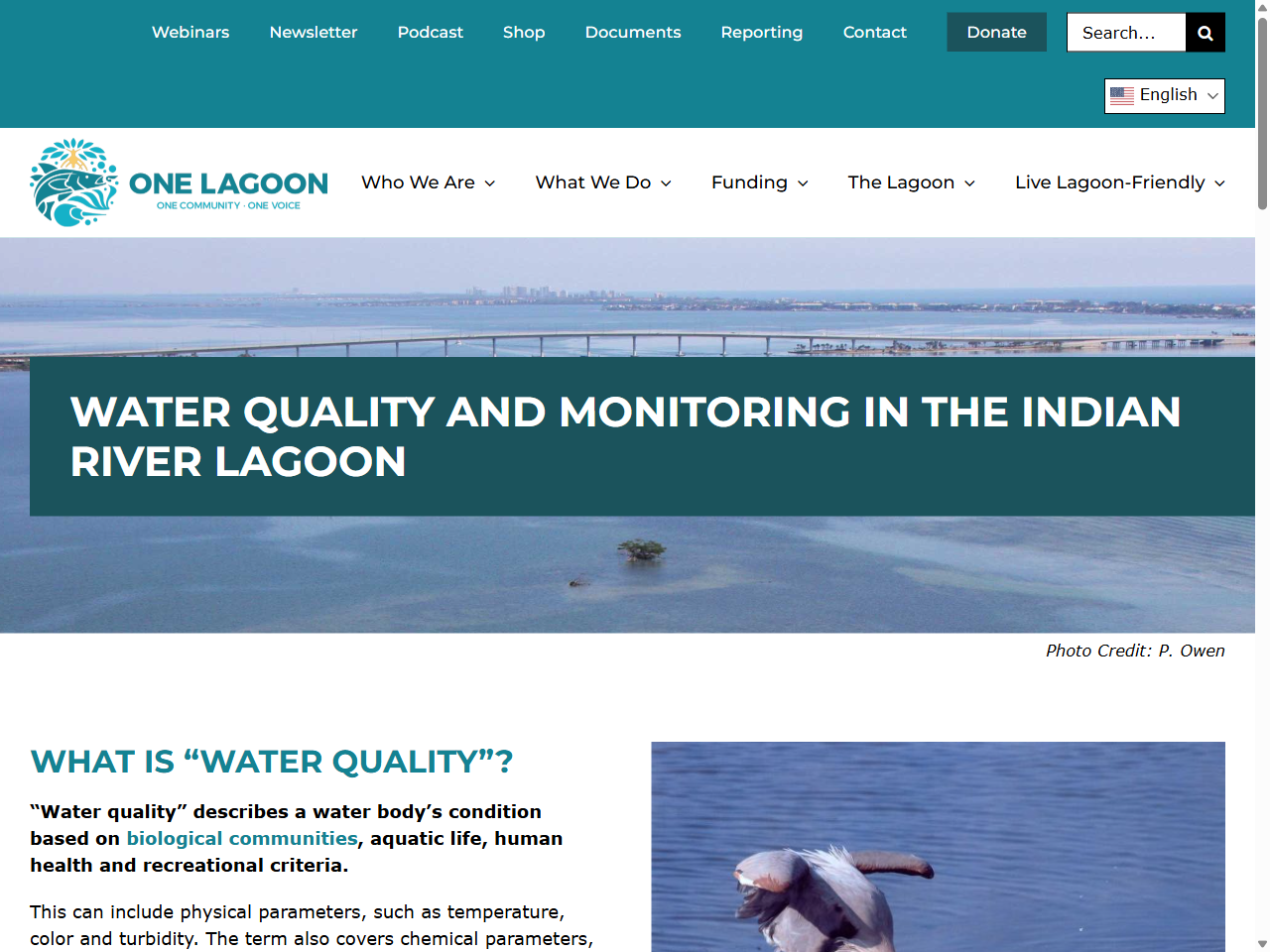 Preview of Water Quality and Monitoring - Indian River Lagoon, accessed August 2, 2025,