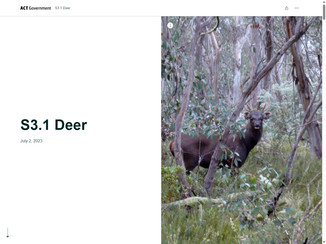 Preview of S3.1 Deer - ArcGIS StoryMaps, accessed August 17, 2025
