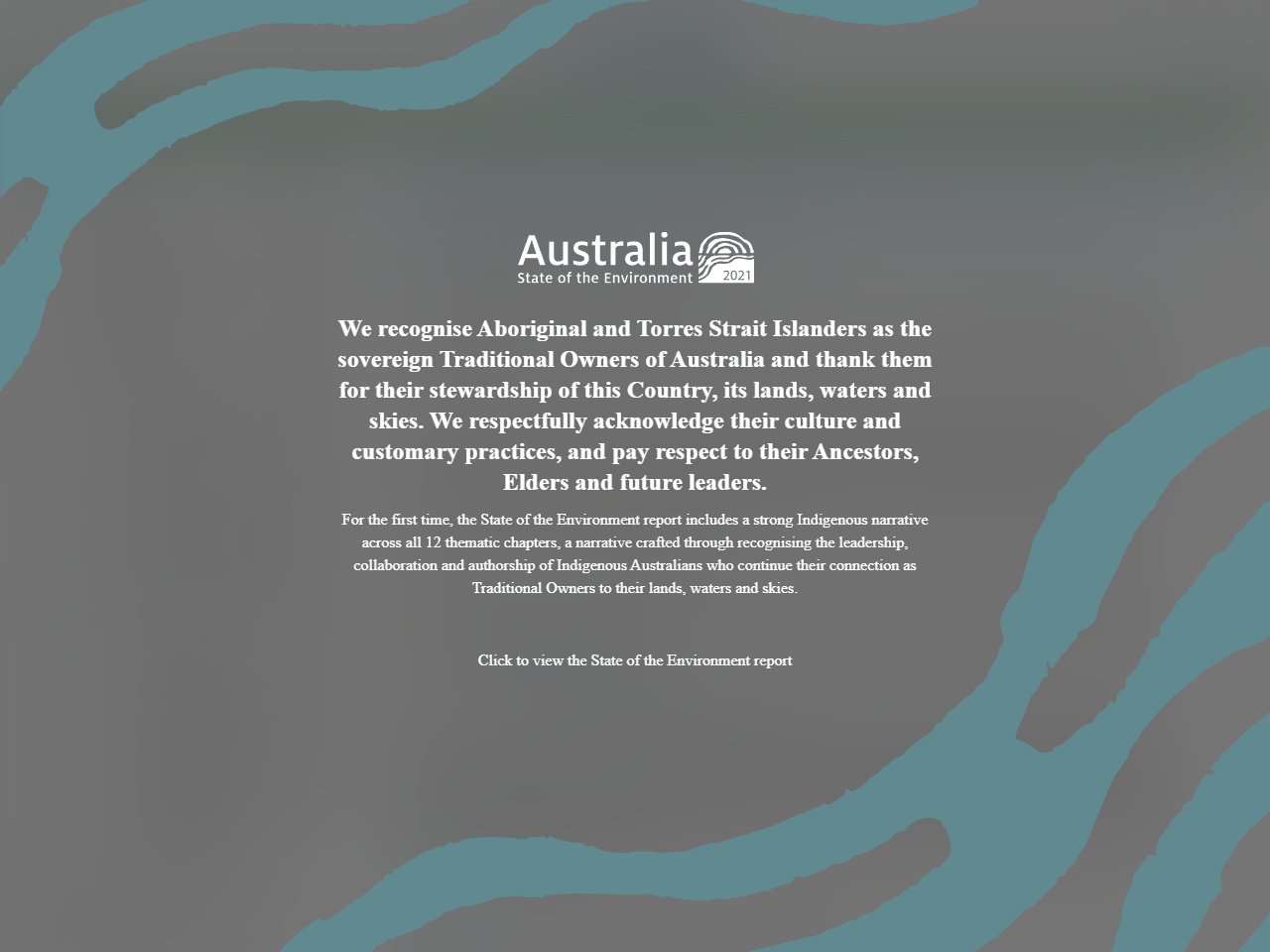 Preview of Information and monitoring | Australia state of the environment 2021, accessed August 9, 2025