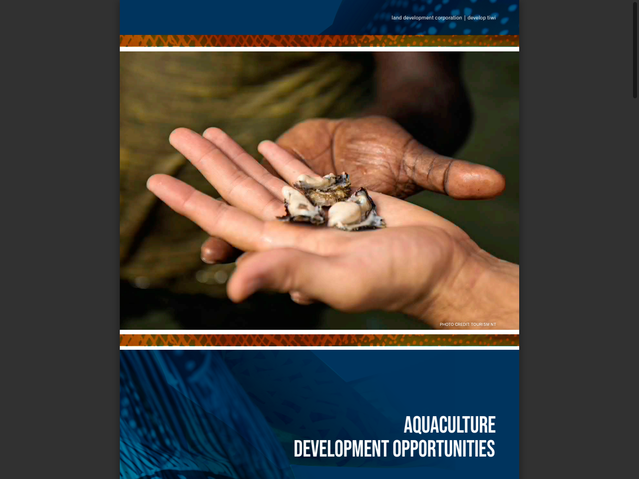 Preview of VOLUME 1 WATER RESOURCES OF THE TIWI ... - Tiwi Land Council, accessed August 1, 2025