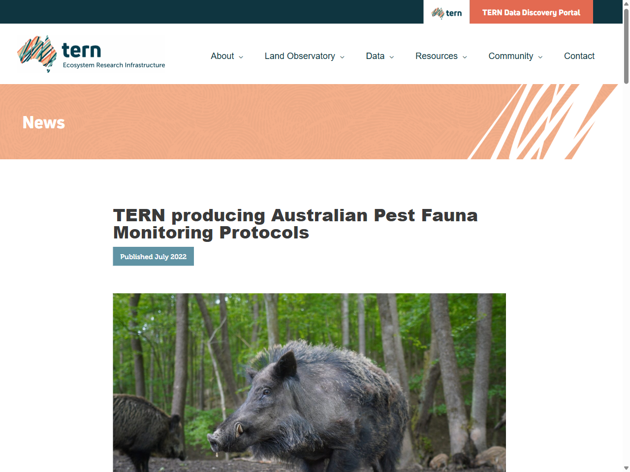 Preview of TERN producing Australian Pest Fauna Monitoring Protocols