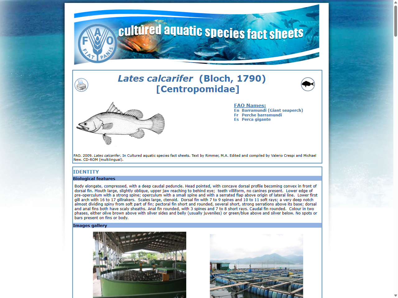 Preview of HOW TURBIDITY AFFECTS FISH BEHAVIOUR - Active Angling New Zealand, accessed July 21, 2025,