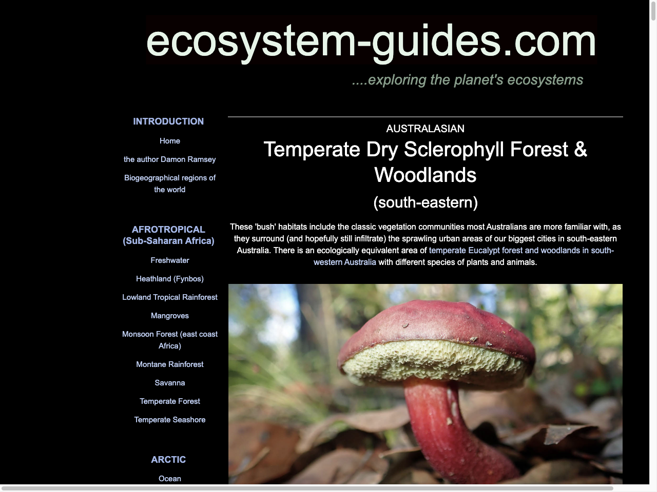 Preview of AUSTRALASIAN Temperate Dry Sclerophyll Forest & Woodlands (south-eastern), accessed July 12, 2025,