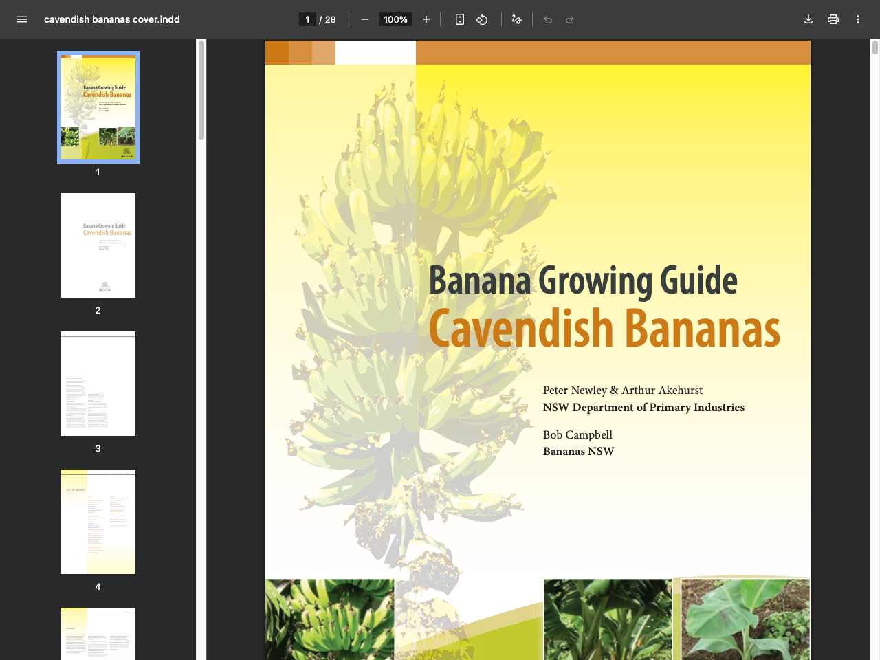 Preview of Cavendish Bananas - Banana Growing Guide - NSW Department of Primary Industries, accessed July 18, 2025, 