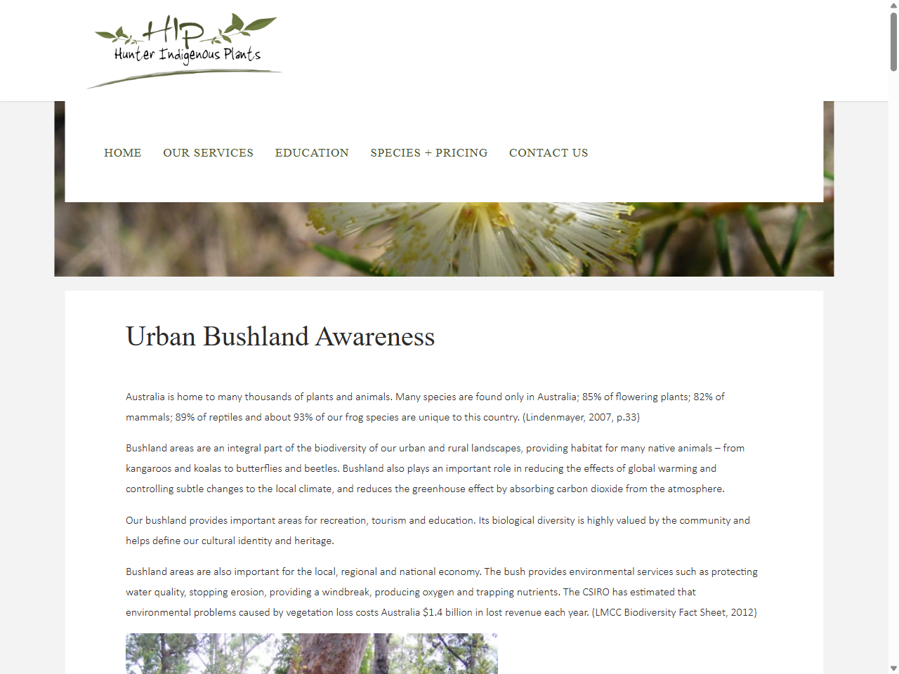 Preview of Urban Bushland Awareness - Hunter Indigenous Plants, accessed July 13, 2025