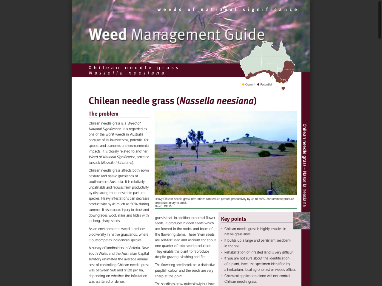 Preview of Chilean needle grass (Nassella neesiana) - Weed Management Guide - Department of Natural Resources and Environment Tasmania, accessed August 12, 2025,
