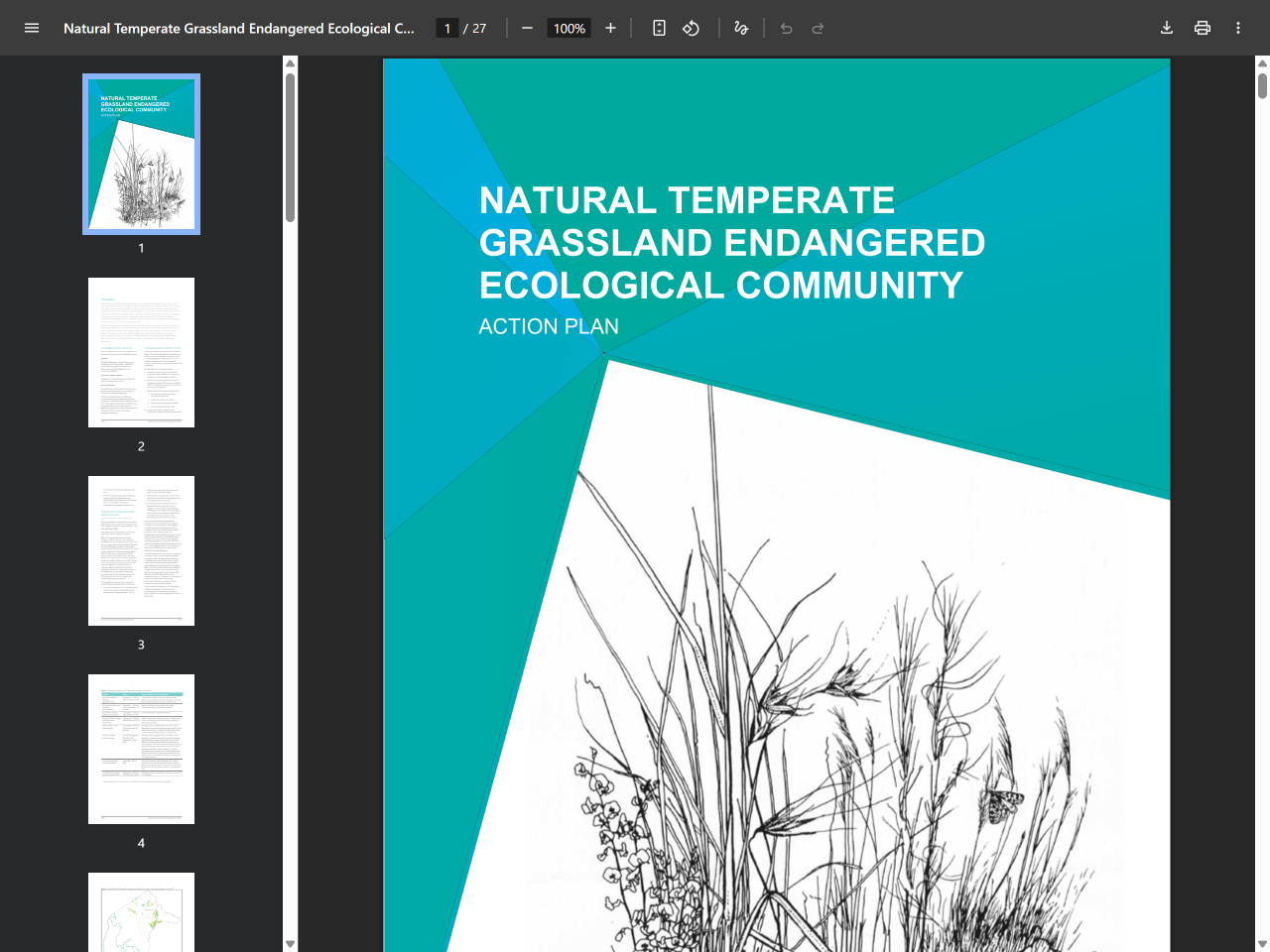 Preview of Natural Temperate Grassland Endangered Ecological Community Action Plan - ACT Government, accessed May 15, 2025,
