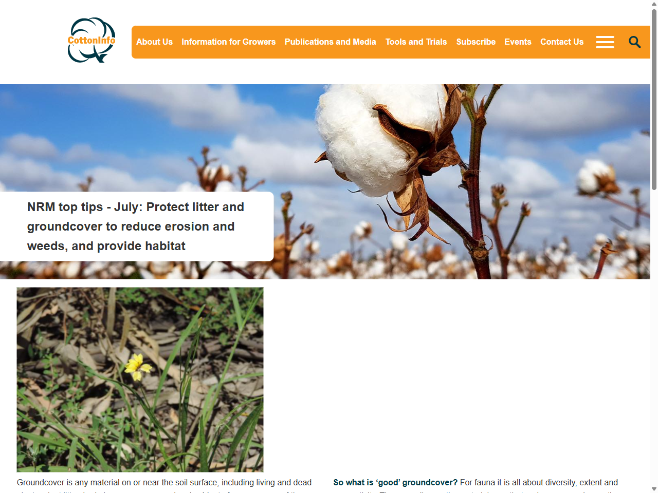 Preview of NRM top tips - July: Protect litter and groundcover to reduce erosion and weeds, and provide habitat | CottonInfo, accessed July 12, 2025, 