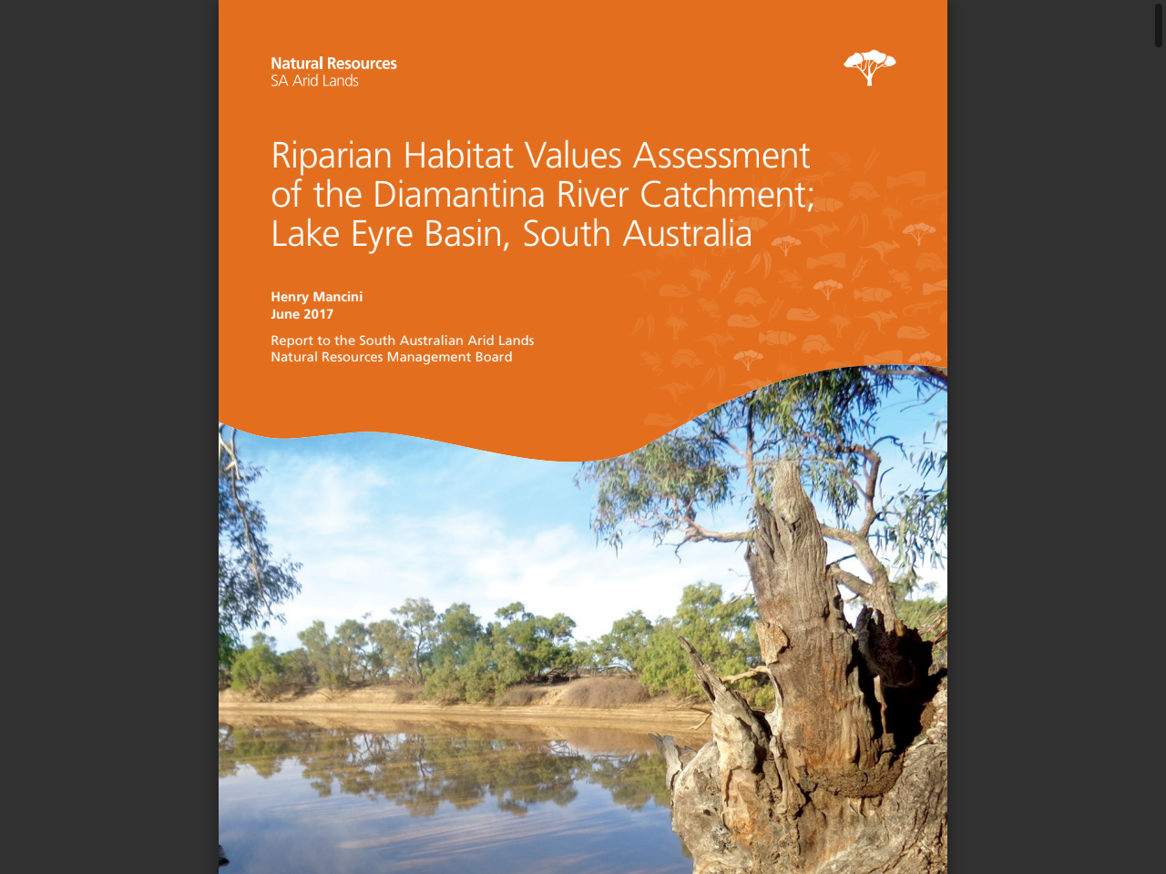 Preview of Riparian Habitat Values Assessment of the Diamantina River Catchment; Lake Eyre Basin, South Australia - Department for Environment and Water, accessed July 22, 2025, 