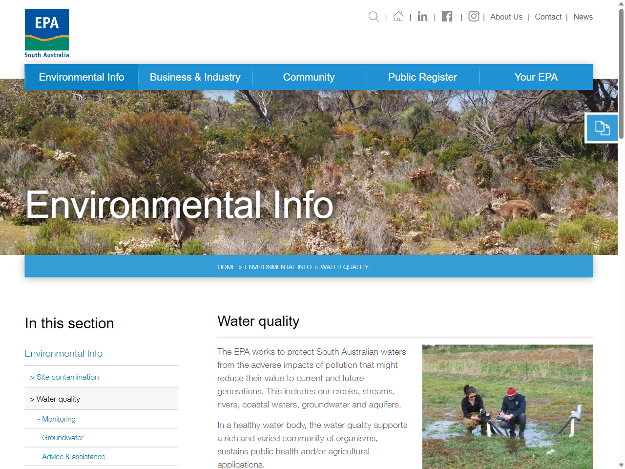 Preview of Semi-arid woodlands (grassy sub-formation) | NSW Environment ...