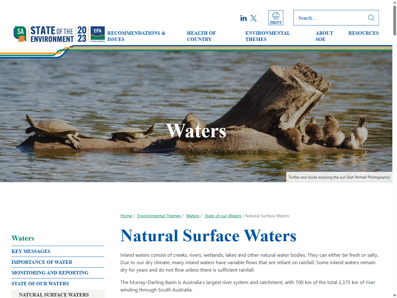 Preview of Natural Surface Waters - State of the Environment 2023