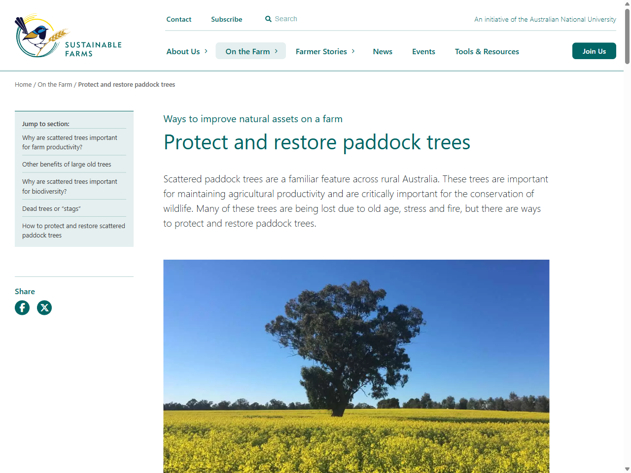 Preview of Protect and restore paddock trees – ANU Sustainable Farms, accessed July 6, 2025, 