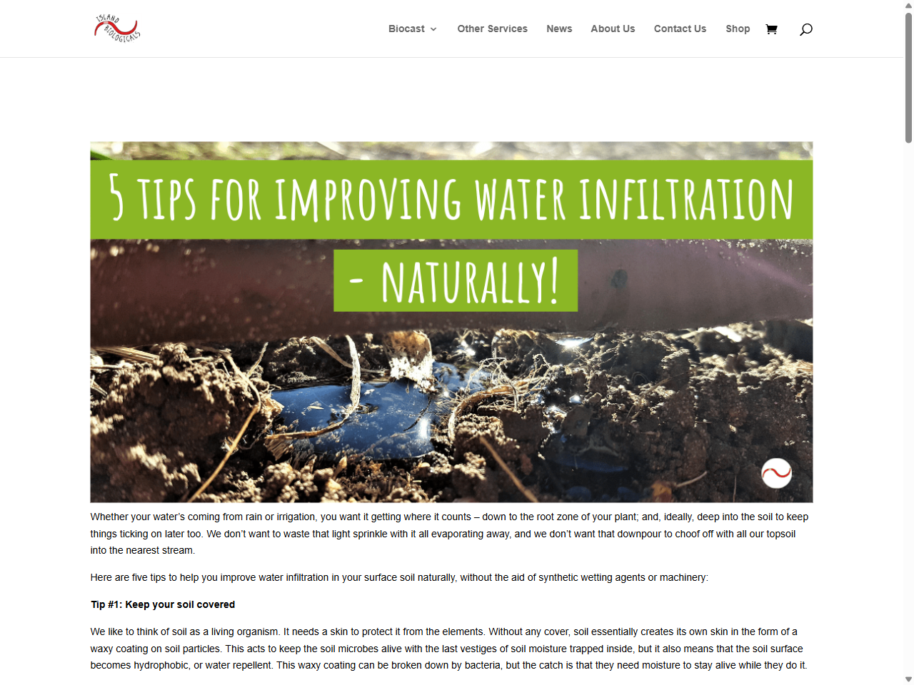 Preview of Five tips for improving water infiltration | Biocast - Island Biologicals, accessed July 16, 2025