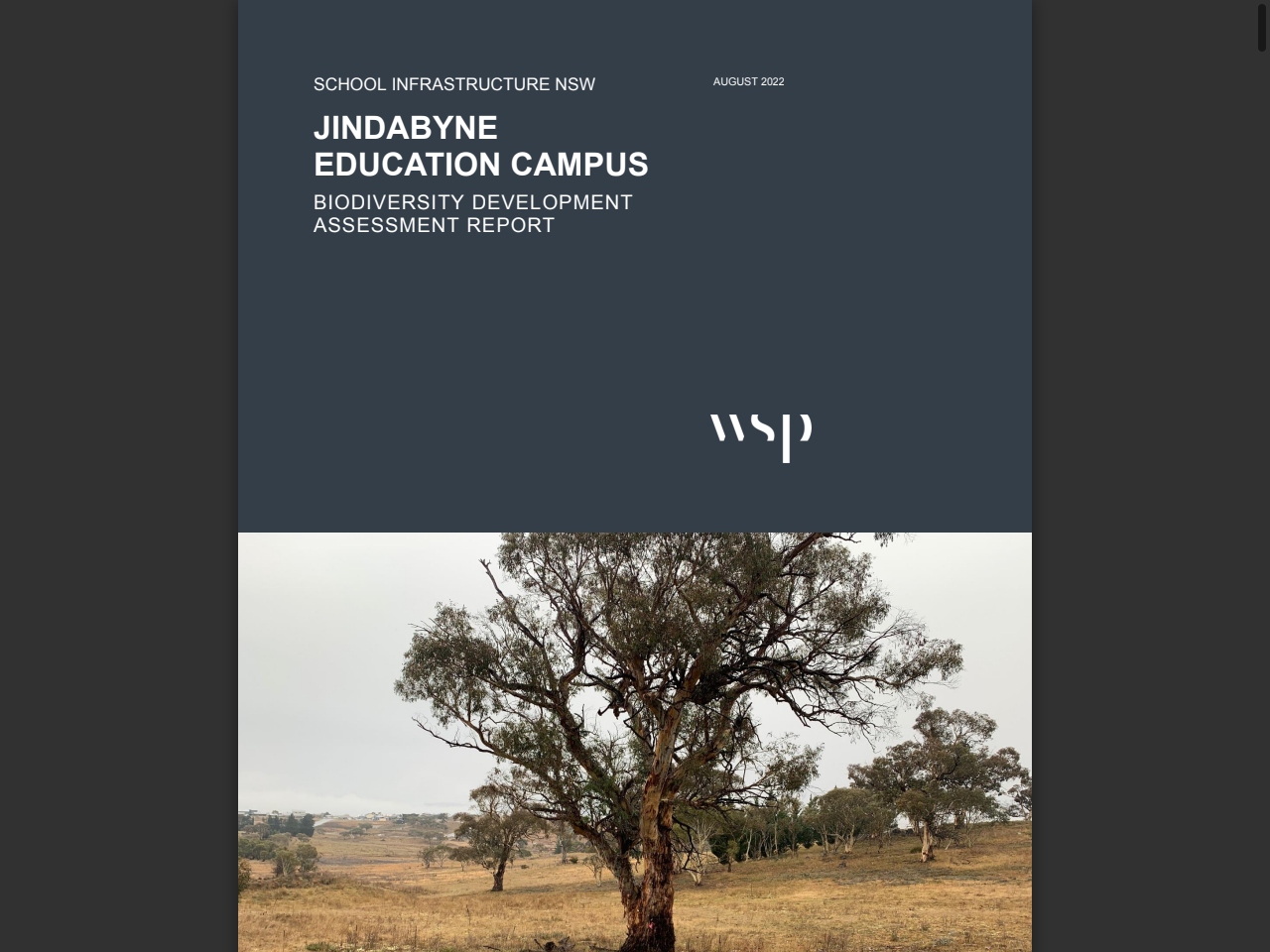 Preview of Appendix C NSW Department of Climate Change, Energy, the Environment and Water – Environment and Heritage detailed response, accessed April 6, 2026