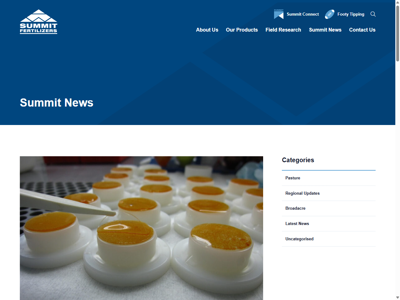 Preview of Phosphorus Buffering Capacity Indices as Related to Soil Properties and Plant Uptake