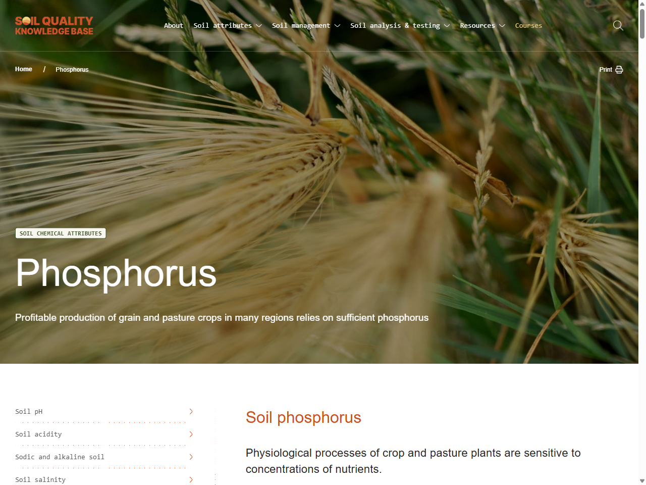 Preview of What are the optimum nutrient targets for pastures? - Soil Health Knowledgebase, accessed July 17, 2025, 