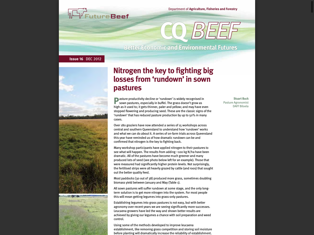 Preview of Nitrogen the key to fighting big losses from 'rundown' in sown pastures - FutureBeef