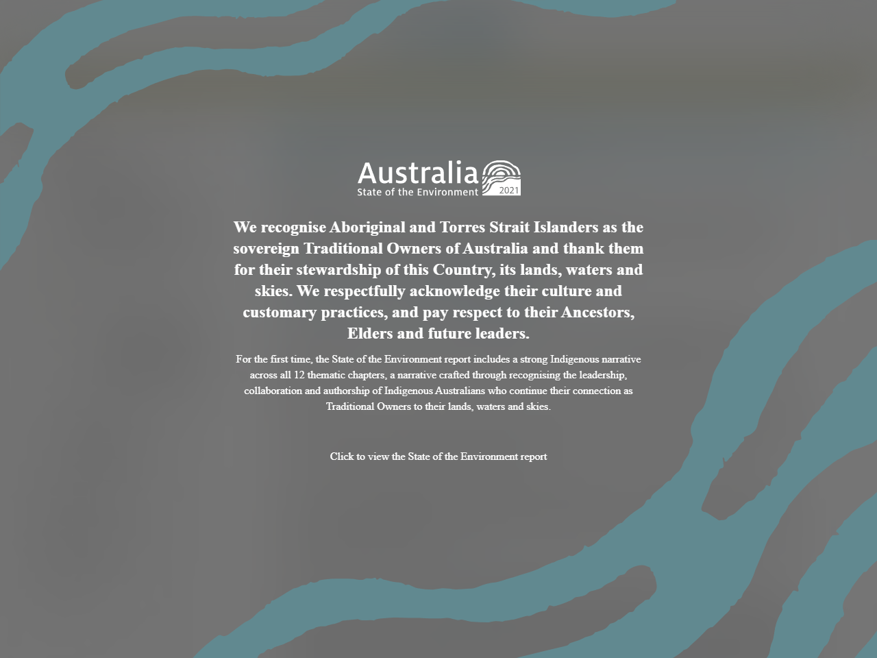 Preview of Carbon | Australia state of the environment 2021, accessed on June 7, 2025,