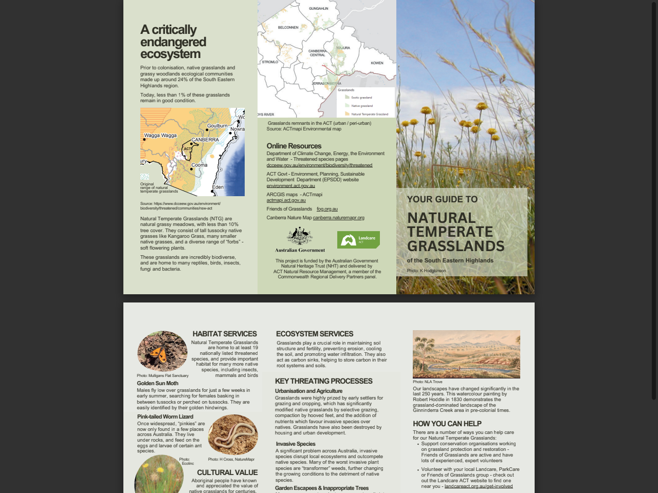 Preview of Natural Temperate Grasslands - Landcare ACT, accessed August 12, 2025,