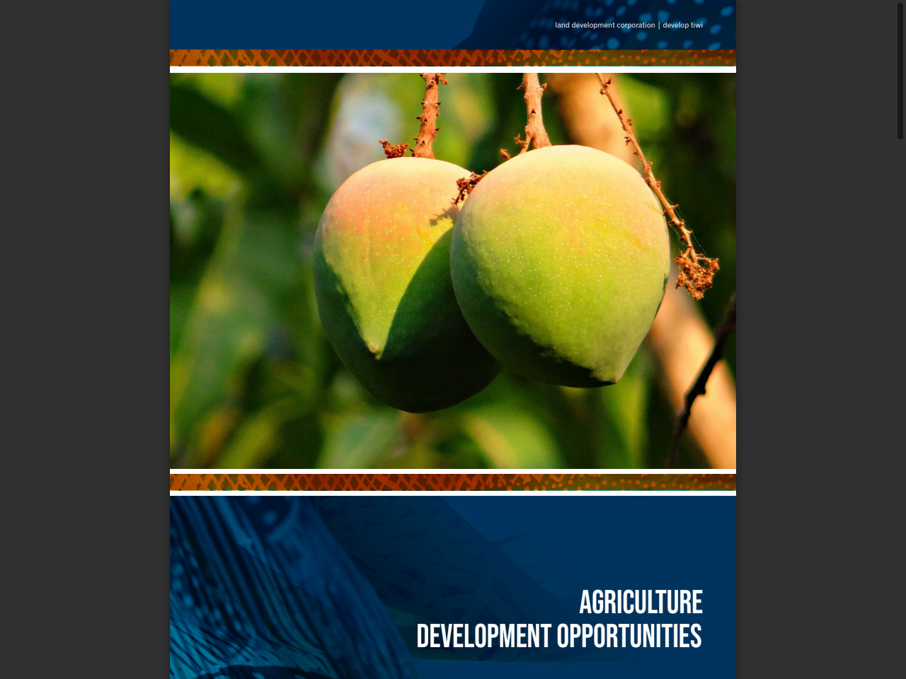 Preview of Agriculture - Develop Tiwi, accessed July 27, 2025,