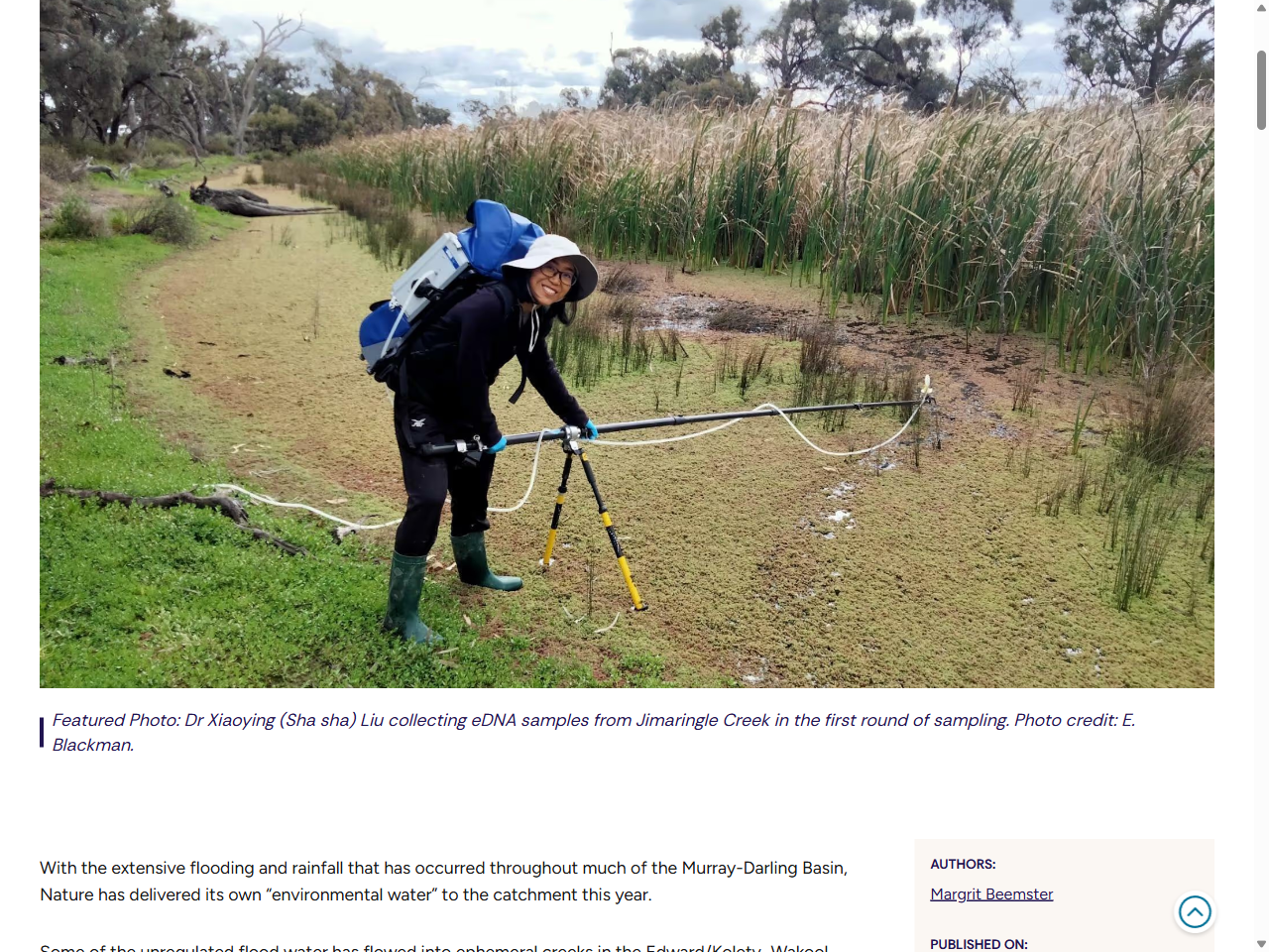Preview of CO₂ sink to source: Arid Australia's climate and rainfall driven tipping points
